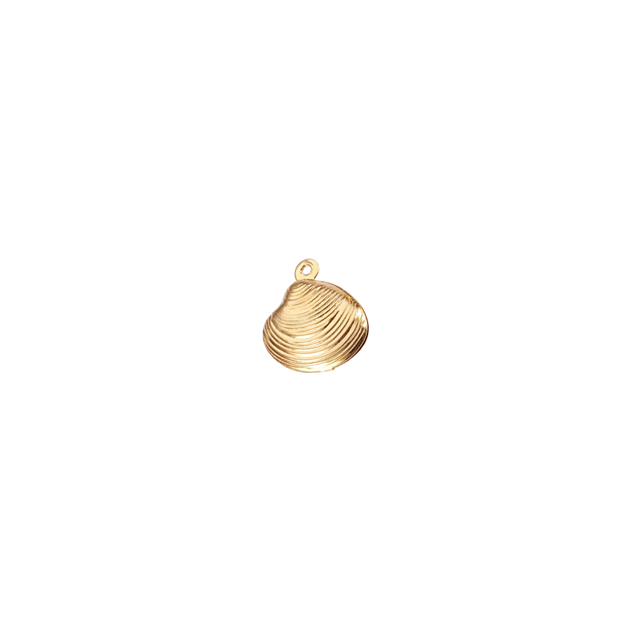 Small Shell Charm