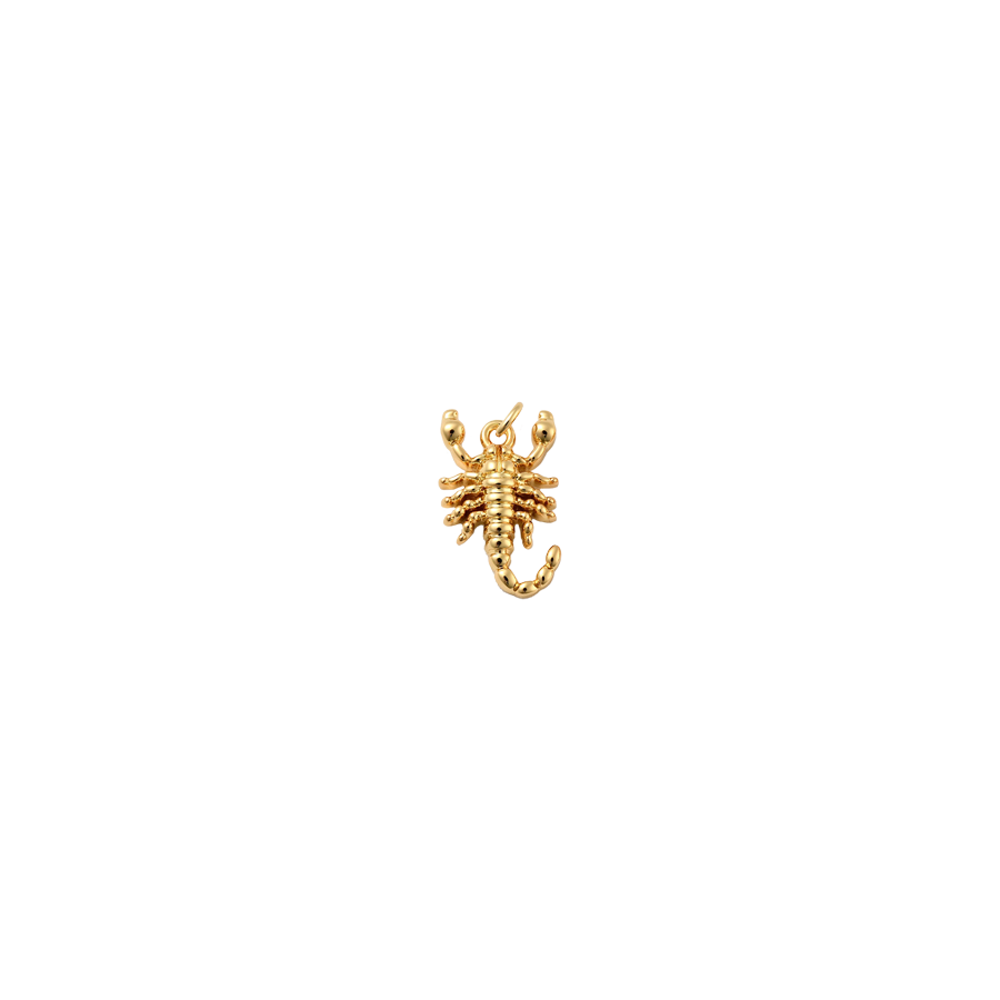 Small Scorpion Charm