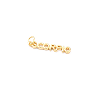Tiny Gold Zodiac Sign Charm