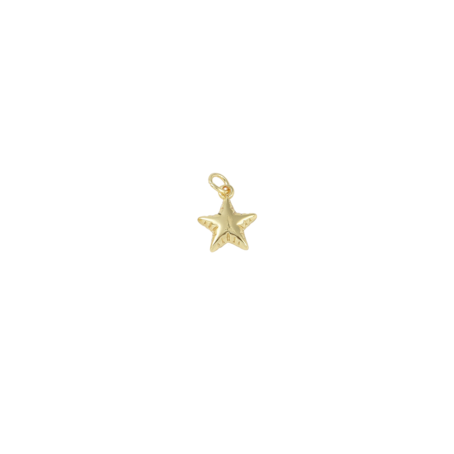 Small Puffy Gold Star Charm